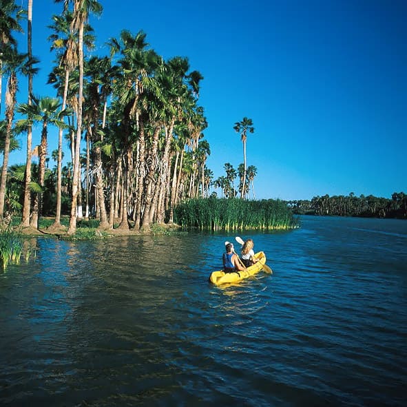 Practicar kayak – LOS CABOS, AVENTURA Y ECOTURISMO